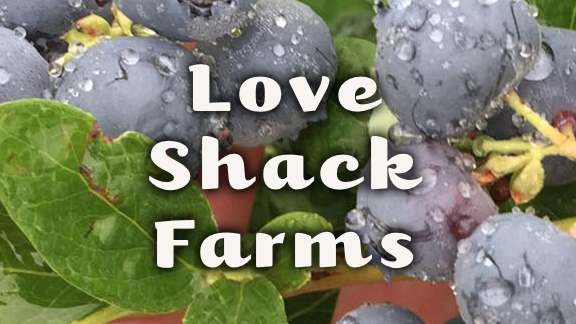 love shack farms